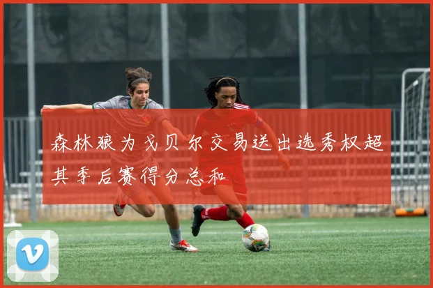 森林狼为戈贝尔交易送出选秀权超其季后赛得分总和